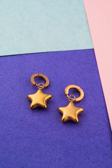 5 Star Minimal Gold Earings